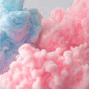 Meet your Posher, Fallon